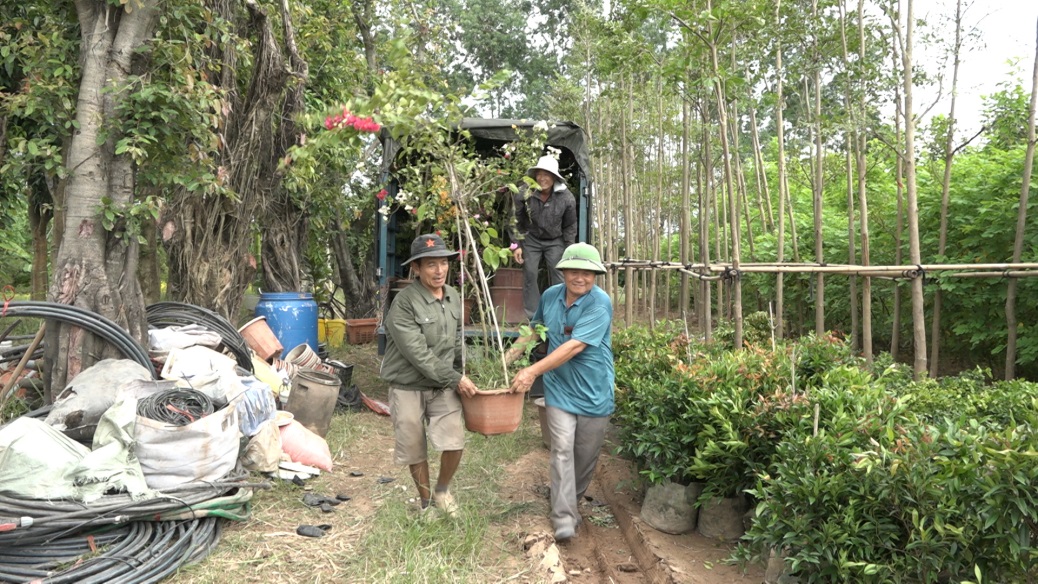 CỰU CHIẾN BINH LÀM GIÀU TỪ CÂY GIỐNG