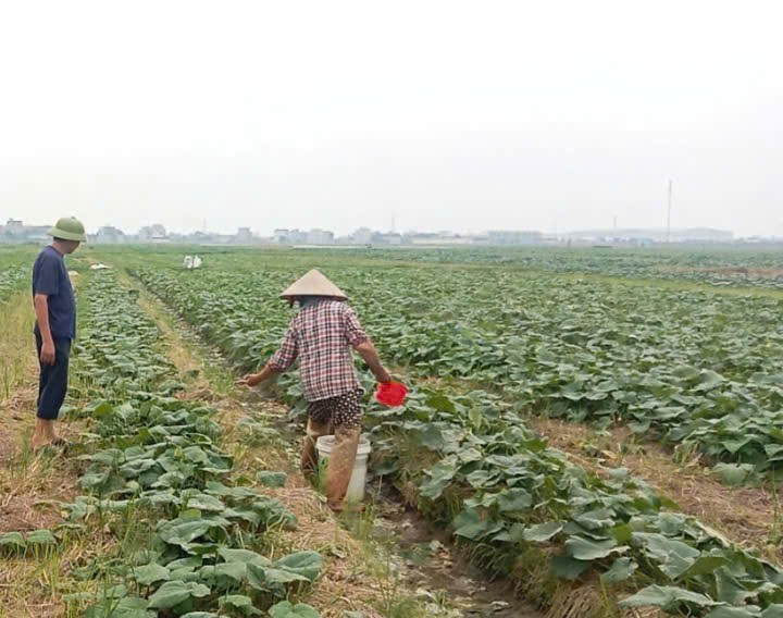 Niềm tin theo Đảng